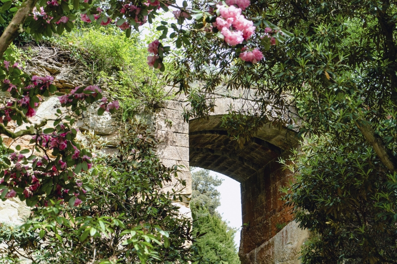 Belsay Hall, Castle & Gardens